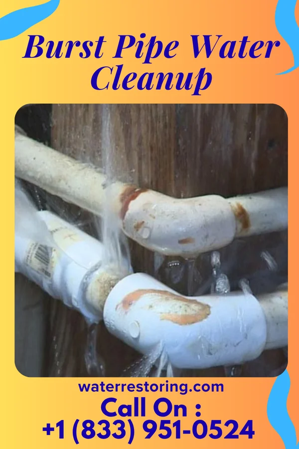 Burst Pipe Water Cleanup in Pateros, WA