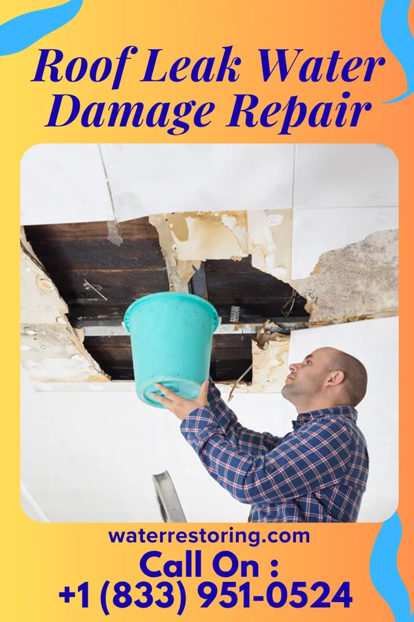 Roof Leak Water Damage Repair in Pateros, WA